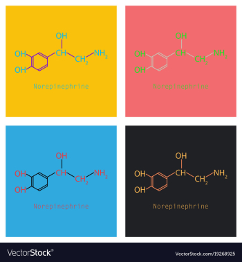 Norepinephrine noradrenaline norepi hormone and vector image Norepinephrine noradrenaline norepi hormone and vector image