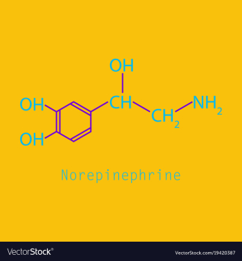 Norepinephrine noradrenaline norepi hormone and vector image Norepinephrine noradrenaline norepi hormone and vector image