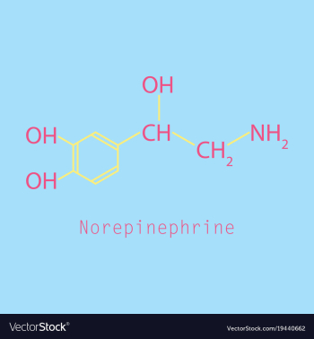 Norepinephrine noradrenaline norepi hormone and vector image Norepinephrine noradrenaline norepi hormone and vector image