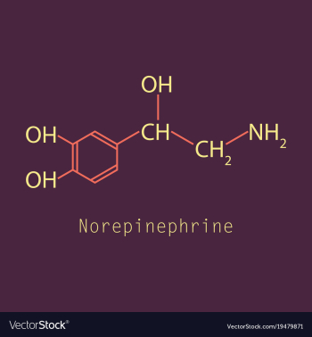 Norepinephrine noradrenaline norepi hormone and vector image Norepinephrine noradrenaline norepi hormone and vector image