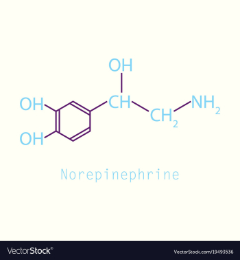Norepinephrine noradrenaline norepi hormone and vector image Norepinephrine noradrenaline norepi hormone and vector image
