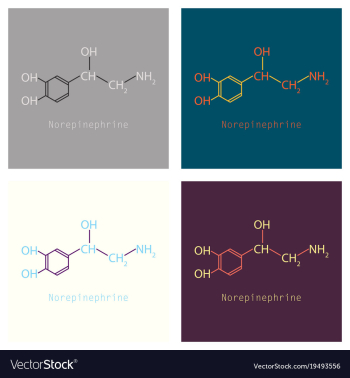 Norepinephrine noradrenaline norepi hormone and vector image Norepinephrine noradrenaline norepi hormone and vector image