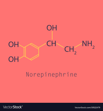 Norepinephrine noradrenaline norepi hormone and vector image Norepinephrine noradrenaline norepi hormone and vector image