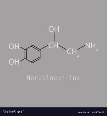 Norepinephrine noradrenaline norepi hormone and vector image Norepinephrine noradrenaline norepi hormone and vector image