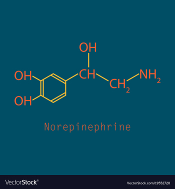 Norepinephrine noradrenaline norepi hormone and vector image Norepinephrine noradrenaline norepi hormone and vector image