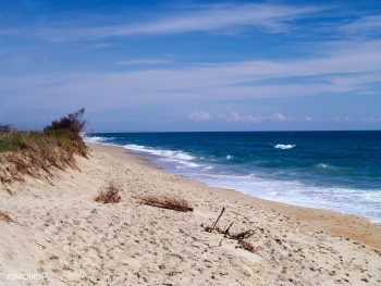 North Carolina Outer Banks Scene. Original im.. | Free public domain photo - 421802