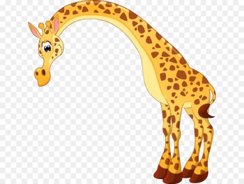 Northern giraffe Drawing Painting - Vector cartoon Cute giraffe 
