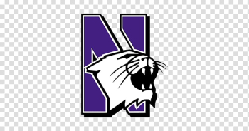 Northwestern Wildcats football Northwestern Wildcats men's basketball American football NCAA Division I Football Bowl Subdivision, american football transparent background PNG clipart