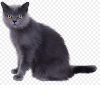Norwegian Forest cat Persian cat Kitten Clip art - Witch Cat Norwegian Forest cat Persian cat Kitten Clip art - Witch Cat