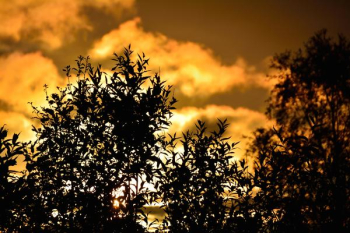 Norwegian Sunset Free Photo Norwegian Sunset Free Photo