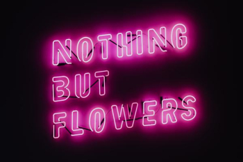 Nothing But Flowers Glowing Neon Nothing But Flowers Glowing Neon