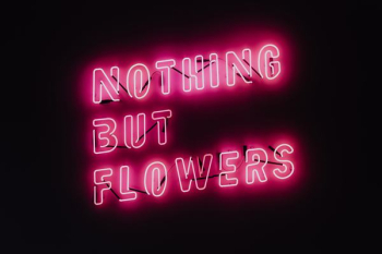Nothing But Flowers Glowing Neon Nothing But Flowers Glowing Neon