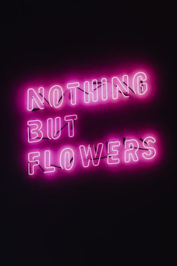 Nothing But Flowers Glowing Neon Nothing But Flowers Glowing Neon