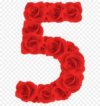 Number Red Clip art - Red Roses Number Five PNG Clipart Image 