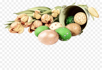 nut food plant fashion accessory nut food plant fashion accessory