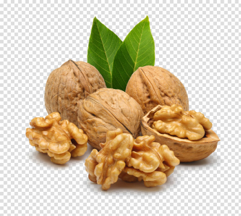 Nut Free PNG Image Nut Free PNG Image