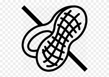 Nut Icon - Food Nut Icon - Food