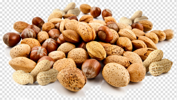 Nut PNG Background Image Nut PNG Background Image