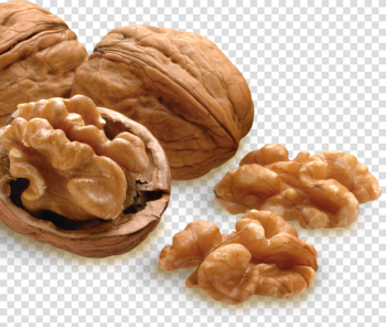 Nut PNG Image Transparent Nut PNG Image Transparent