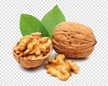 Nut Transparent Background PNG Nut Transparent Background PNG