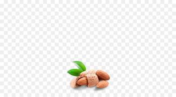 Nut, Wheat Flour, Food, Almond PNG Nut, Wheat Flour, Food, Almond PNG