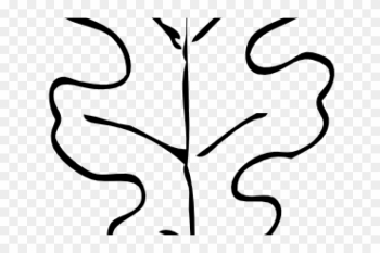 Oak Leaf Outline - Oak Leaf Outline Oak Leaf Outline - Oak Leaf Outline