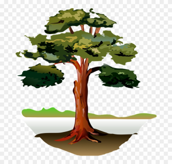 Oak Tree Clipart 12, Buy Clip Art - Clipart Tree By River Oak Tree Clipart 12, Buy Clip Art - Clipart Tree By River