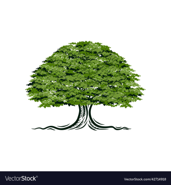 oak tree logo oak tree logo