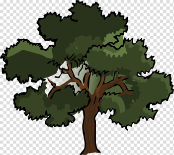 Oak Tree , Public-Domain Tree transparent background PNG clipart Oak Tree , Public-Domain Tree transparent background PNG clipart