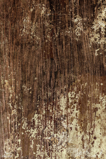 Oak wood textured background | Free photo - 2252856 Oak wood textured background | Free photo - 2252856