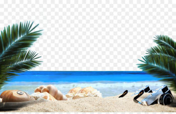 Ocean Beach Sandy Beach Sea - Ocean Beach plant Ocean Beach Sandy Beach Sea - Ocean Beach plant