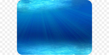 Ocean Marine mammal Marine biology Underwater Animal - Under the sea background 