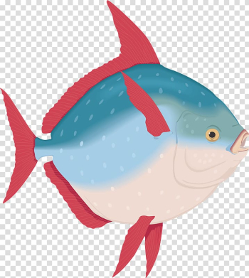 Ocean sunfish Animal Malayalam, fish transparent background PNG clipart