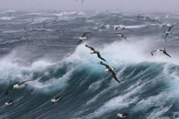 ocean waves ocean waves