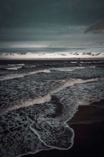 Ocean Waves Ocean Waves