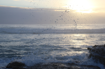 Ocean Waves Hammering Rock Boulder Ocean Waves Hammering Rock Boulder