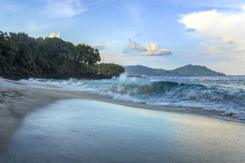 Ocean Waves Near Trees Ocean Waves Near Trees