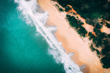 Ocean Waves Near Trees Ocean Waves Near Trees