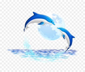Oceanic dolphin - dolphin Oceanic dolphin - dolphin