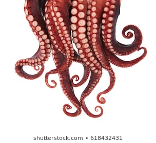 Octopus Tentacles Images, Stock Photos & Vectors | Shutterstock