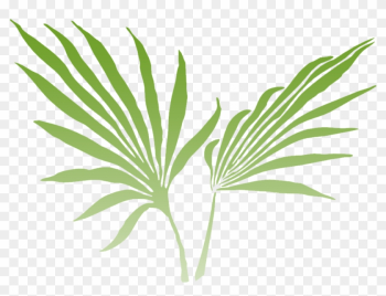 Of The Lush Rainforest And Offers Stunning Views From - Palm Frond Clip Art Of The Lush Rainforest And Offers Stunning Views From - Palm Frond Clip Art