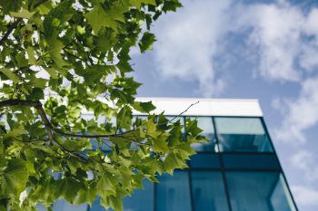 Office building windows and blue sky Office building windows and blue sky