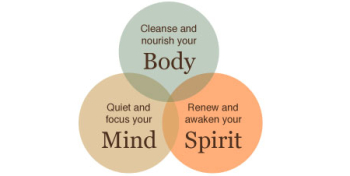 OHI holistic healing program OHI holistic healing program