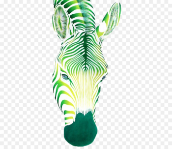Oil painting Zebra Drawing - Donkey Horse Oil painting Zebra Drawing - Donkey Horse