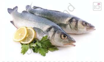 Oily fish Seafood Eating - fish Oily fish Seafood Eating - fish