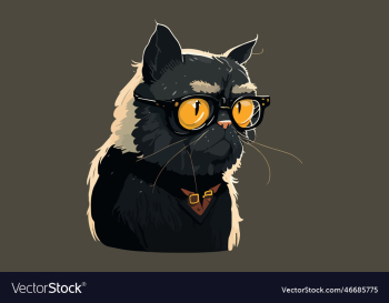 old cat old cat