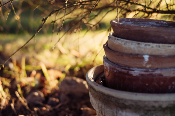 Old clay flower pots Old clay flower pots