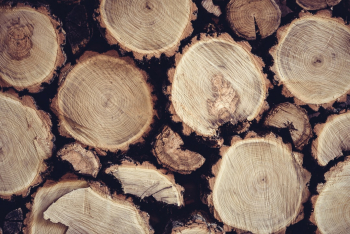 Old cottage wood pile Old cottage wood pile