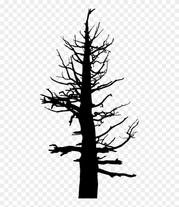 Old Dead Tree Silhouette - Tree Old Dead Tree Silhouette - Tree