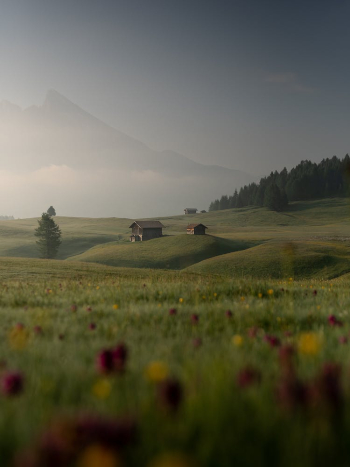 Old houses on green hillside behind foggy mountain in evening